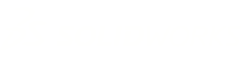 SolidWorks logo